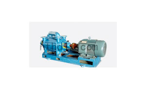 Vacuum Pump